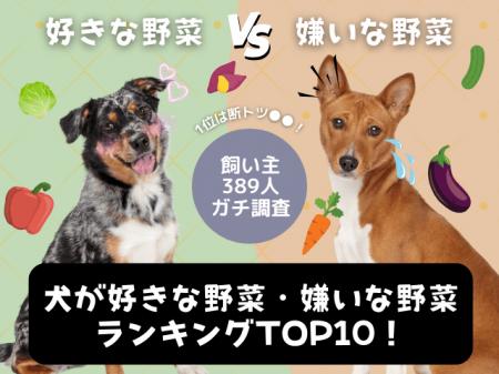 【飼い主389人に調査】犬が好きな野菜No.1は断トツ●●