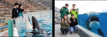 【鴨川シーワールド】1日45名限定「シャチプレミアム