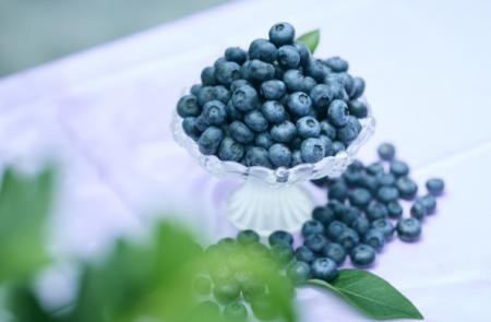 BLUE ANGEL～Nasu Highland Blueberry Park～　utf-8
