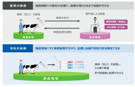 乳牛の乳房炎原因菌を迅速に検出する技術を開発、ライ