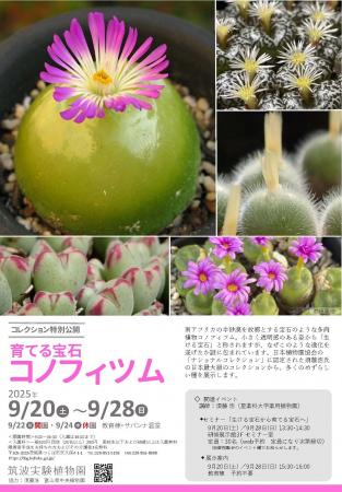 【国立科学博物館 筑波実験植物園】コレクション特別