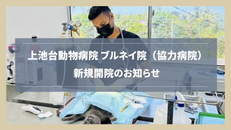 【新規開院】上池台動物病院グループが海外協力病院「