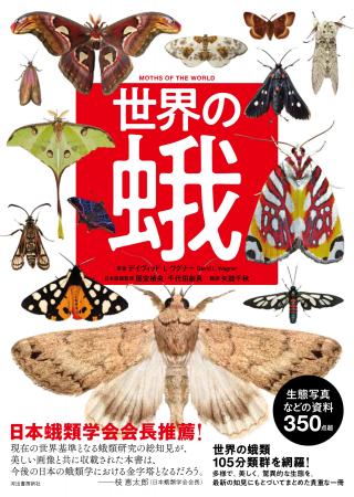 【“蛾”を愛するすべての人に！】貴重なヴィジュアル多