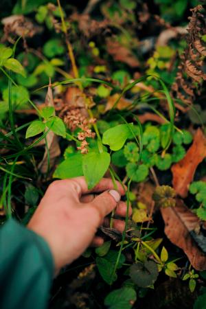 【TIGER MOUNTAIN】吉田勝信 個展「Design, Foraging,