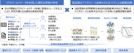 日本初、オルガノイド利活用サービス「OrganoInsight(