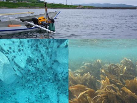9/11 明治公園で「海を語り、海を食べる」一日 「漁師