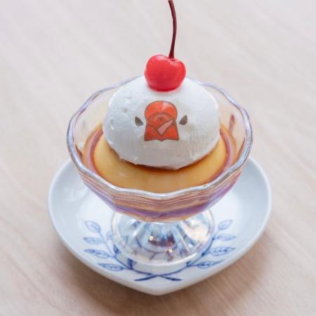 「モット！キャル喫茶」9/1からSTART！文鳥・キンカチ