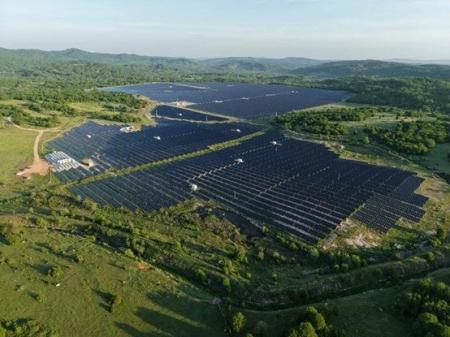 「バラの国」にグリーンの力を！