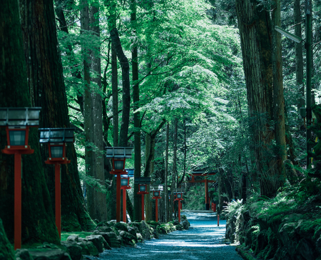 【京都】貴船神社にて『夜の大自然×日本の音色×アンビ