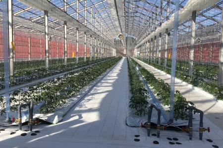 株式会社シカタ、青森みちのく銀行と日本政策金融公庫