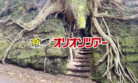 オリオンツアー秋の旅行におすすめ!9月・10月・11月 オリオンツアー秋の旅行におすすめ!9月・10月・11月