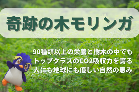 地球温暖化を止める！奇跡の木「モリンガ」植林utf-8