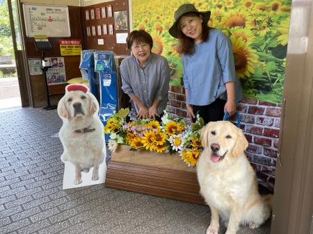 【名物犬ソラくん】JR湯平駅に等身大パネル設置(湯平 【名物犬ソラくん】JR湯平駅に等身大パネル設置(湯平