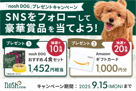 「nosh DOGおすすめ4食セット」または「Amazonギutf-8