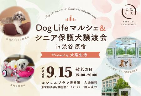 夕暮れどきのドッグイベント&チャペルで出会う、新し 夕暮れどきのドッグイベント&チャペルで出会う、新し