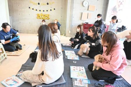 犬の健康寿命を“歯みがき習慣”で守る新会社誕生。全国 犬の健康寿命を“歯みがき習慣”で守る新会社誕生。全国