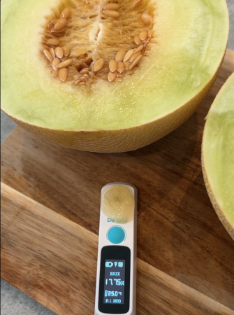 メロンの品種別の糖度を分析したランキングペーutf-8