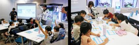 海洋保全の大切さを小学生に伝える「スペシャルサンゴ