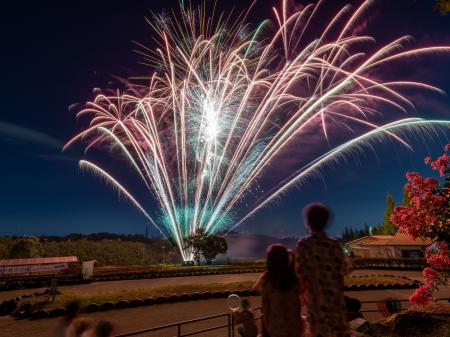 9月も楽しめる夏祭り【堺・緑のミュージアム　ハーベ