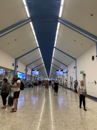 日本の虫除け文化が世界を救う！AMIDOがついにスリラ