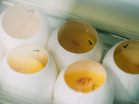 プラチナバイオがキユーピーと資本業務提携を締結