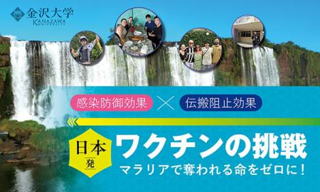 国立大学法人金沢大学マラリアで奪われる命をゼutf-8