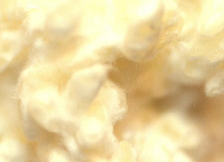 箱根の温泉宿「養生館はるのひかり」　ぬる湯温utf-8