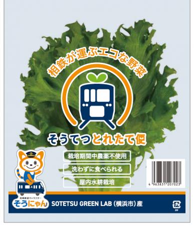 相鉄ホールディングスとエコデシックによる植物工場実
