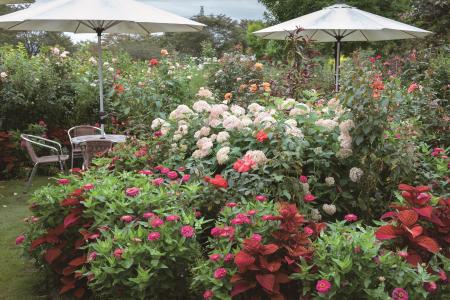 400種のバラだけではない！4名のデザイナーが手掛けた