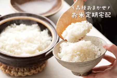 お米の「おまかせお届け」サブスク、新規受付を再開 お米の「おまかせお届け」サブスク、新規受付を再開