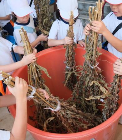 小豆島で創業167年のごま専業メーカー「かどや製油」 小豆島で創業167年のごま専業メーカー「かどや製油」