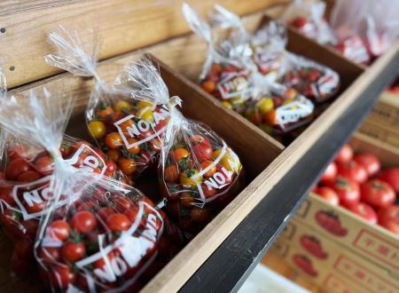 クーラーボックス必携！　“直売所天国”千葉で採utf-8