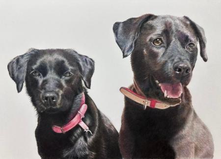 ペットロスに寄り添う『色鉛筆で甦ったうちの子アート ペットロスに寄り添う『色鉛筆で甦ったうちの子アート