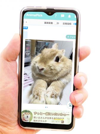 コロナ禍以降寄付減少、疲弊する動物保護現場　utf-8