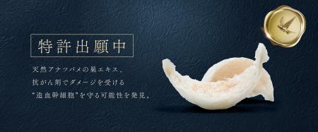 がん治療に“新たな光”。天然アナツバメの巣エキスが、