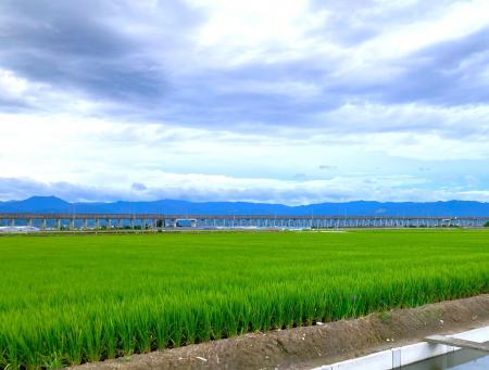 「株式会社サンマルクファーム」の設立について