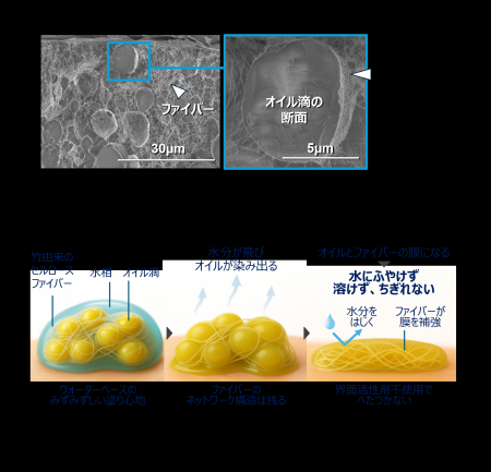 ついに実現 「汗に強く」×「心地よい」理想の日焼け止 ついに実現 「汗に強く」×「心地よい」理想の日焼け止
