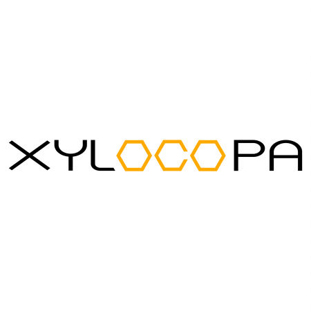 WEB3コミュニティを開発・運用する株式会社XYLOCOPAが