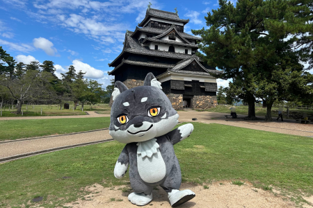 総移動距離は18,700km！オオカミの「マカミ」が70日で