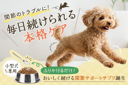 後悔のない選択を。小型犬専用・本気の関節サポートサ