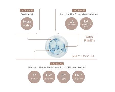 美容大国の韓国から日本に初上陸。アンチエイジング医