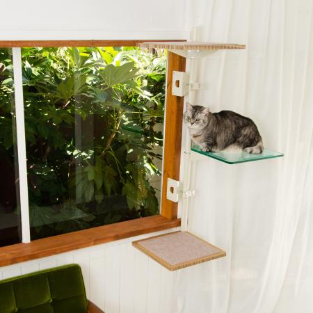 業界初！窓枠につけるキャットタワー「ねこゴロutf-8