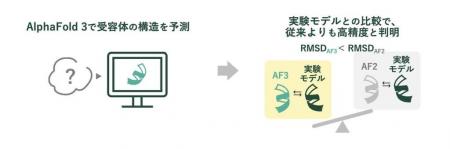 苦味受容体の構造をAIで高精度予測　AlphaFold 3utf-8