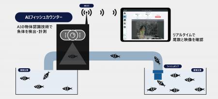 i-ocean、自動尾数カウントシステム「AIフィッシュカ i-ocean、自動尾数カウントシステム「AIフィッシュカ