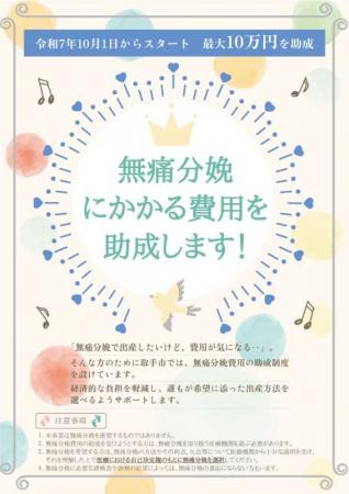 茨城県取手市「無痛分娩費用助成制度」を10月かutf-8
