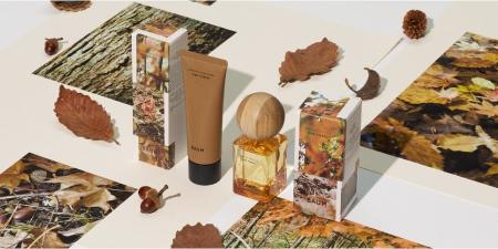 BAUM、「BAUMオークの森」からインスピレーションを受
