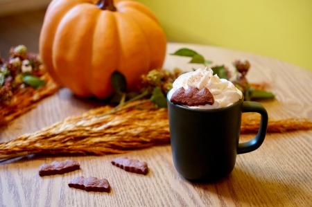 ダンデライオン・チョコレートから新登場!ハロウィン ダンデライオン・チョコレートから新登場!ハロウィン