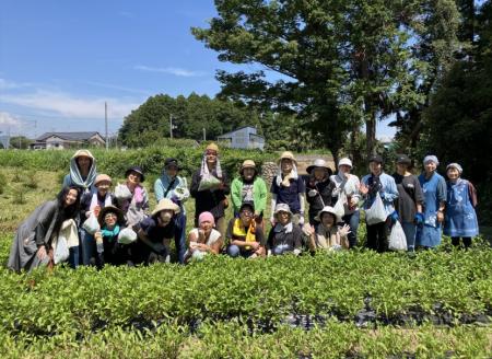 福島県楢葉町×Creema　藍の畑プロジェクト始動！