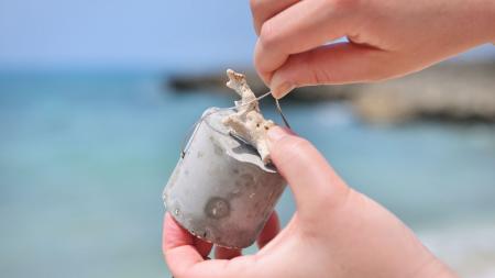 【イラフ SUI ラグジュアリーコレクションホテルutf-8