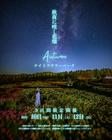 幻想的な秋夜に咲く花畑 ―秋限定ナイトフラワーパー 幻想的な秋夜に咲く花畑 ―秋限定ナイトフラワーパー
